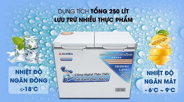Tủ đông Alaska 250 lít BDC 306C