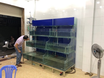 bể cá nhà hàng 4 tầng