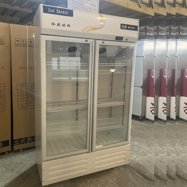 tủ mát 2 cánh mới