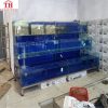 Bể hải sản 3 tầng kính trồng kính