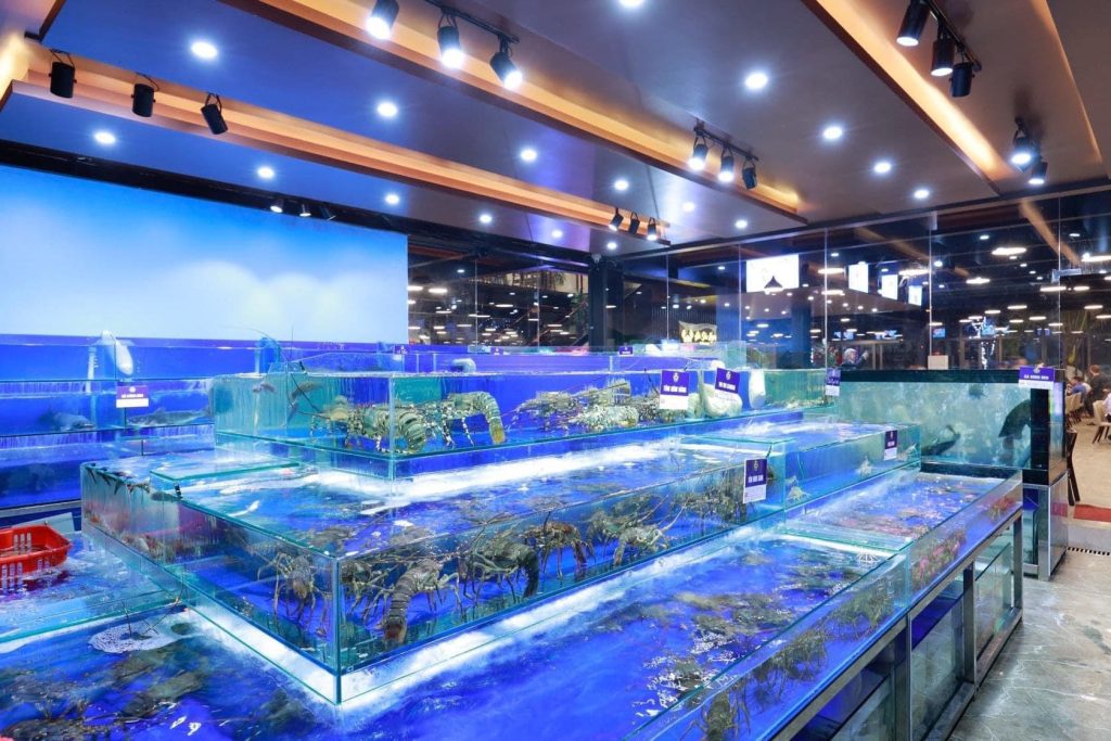 Mẫu hồ hải sản nhà hàng