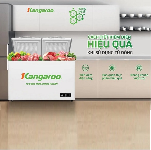 Mẹo Tiết Kiệm Điện Khi Sử Dụng Tủ Đông Hiệu Quả Nhất