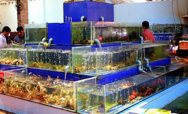 Bể hải sạn tạo không gian sống động với con cá bơi lội